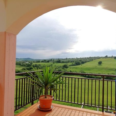 Agriturismo Podere Verdicchio Scansano Kültér fotó