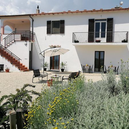 Agriturismo Podere Verdicchio Scansano Kültér fotó