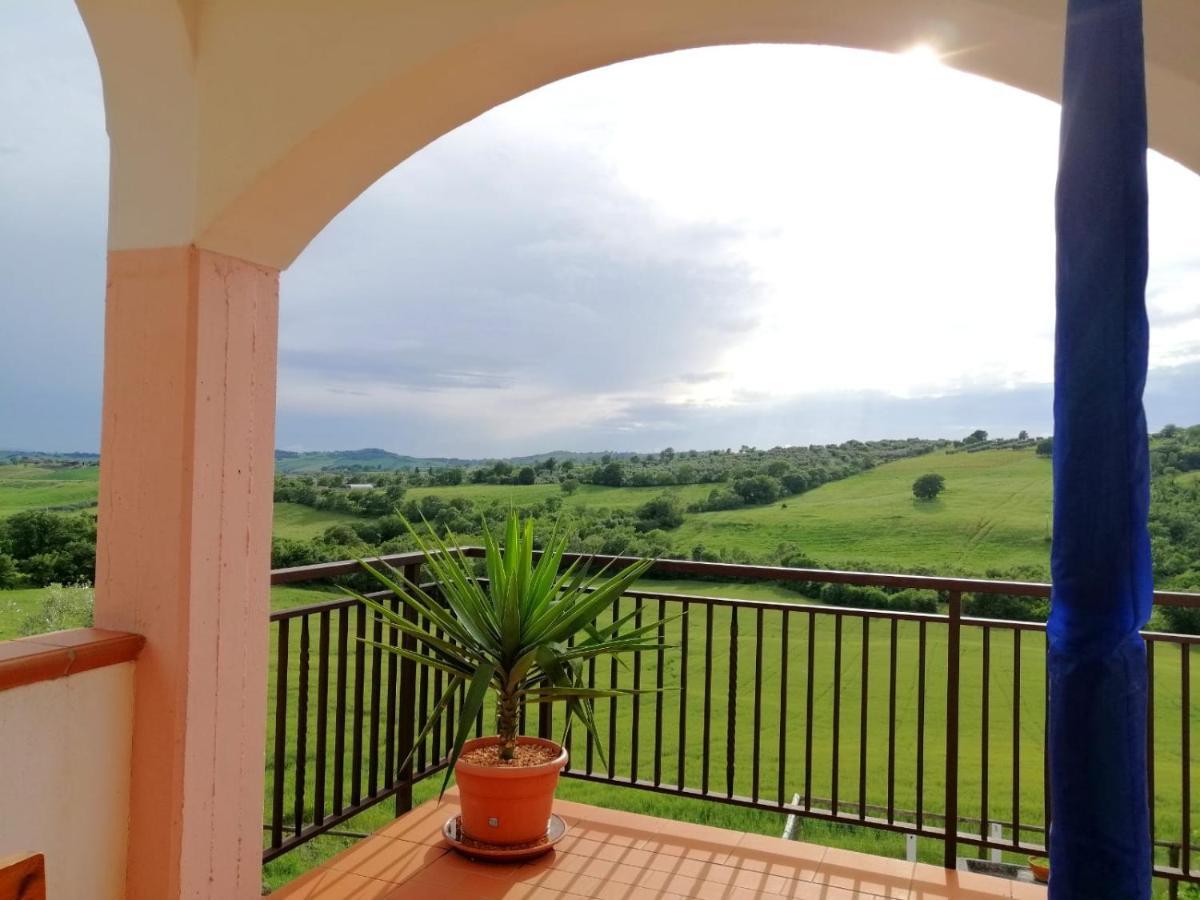 Agriturismo Podere Verdicchio Scansano Kültér fotó