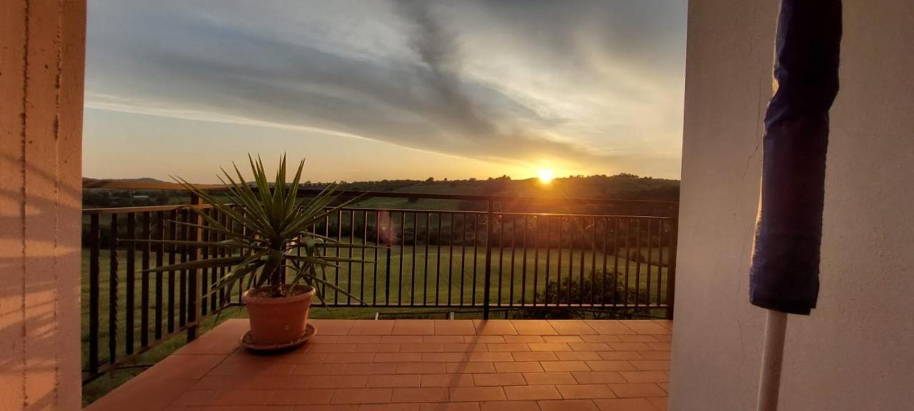 Agriturismo Podere Verdicchio Scansano Kültér fotó