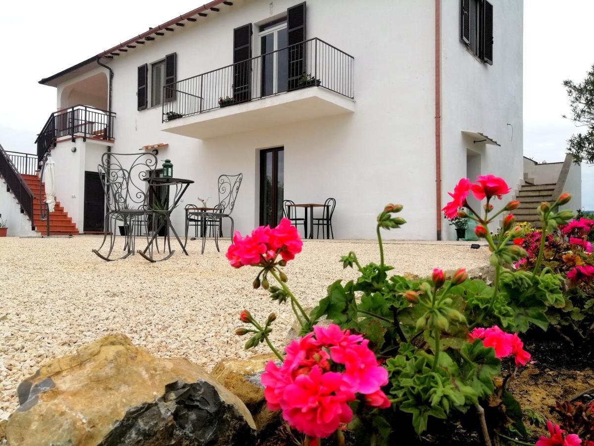 Agriturismo Podere Verdicchio Scansano Kültér fotó