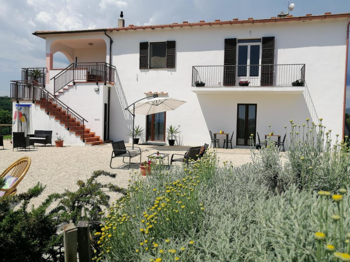 Agriturismo Podere Verdicchio Scansano Kültér fotó