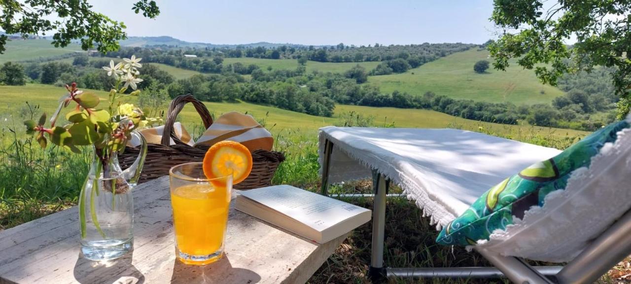 Agriturismo Podere Verdicchio Scansano Kültér fotó