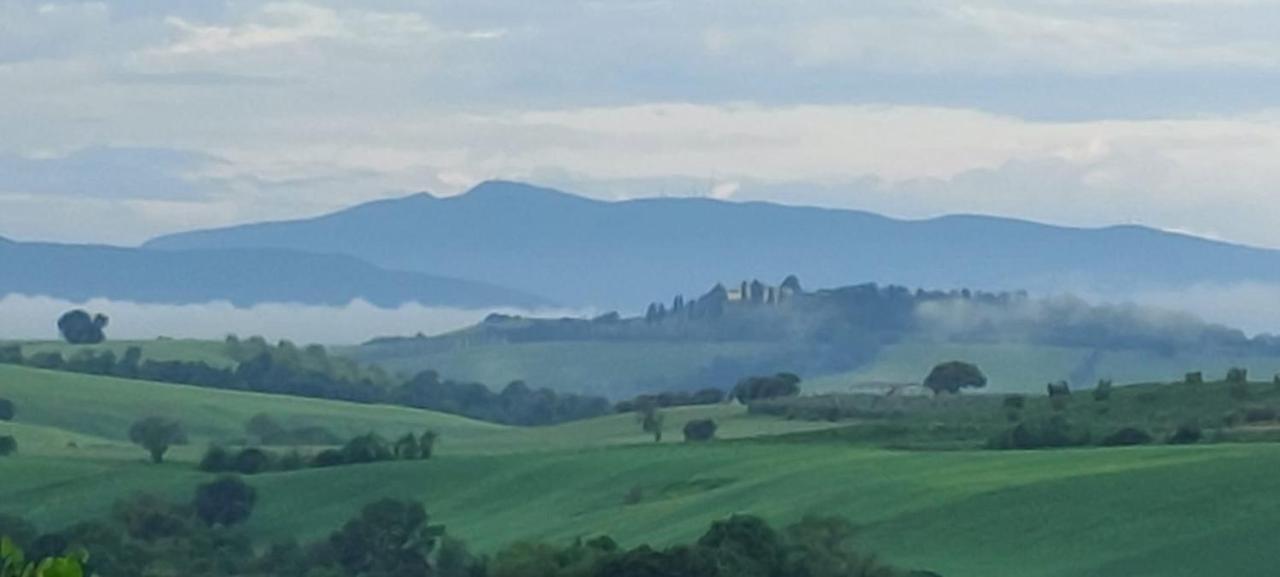 Agriturismo Podere Verdicchio Scansano Kültér fotó