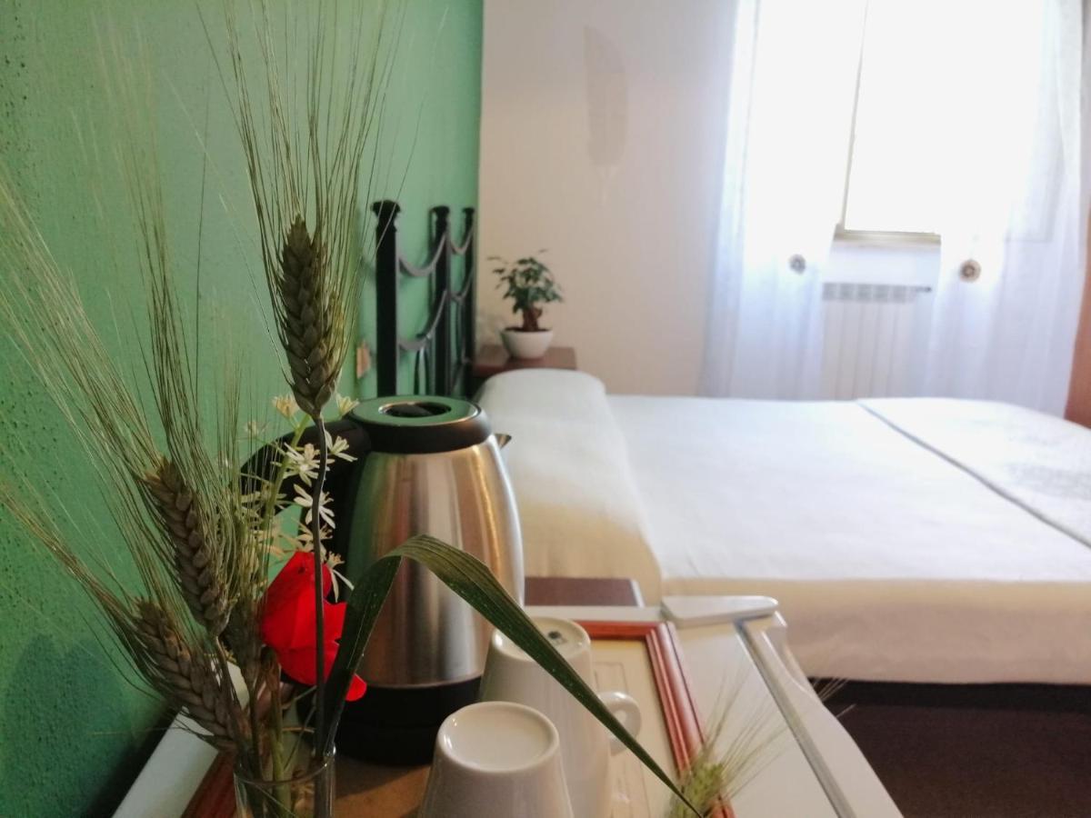 Agriturismo Podere Verdicchio Scansano Kültér fotó
